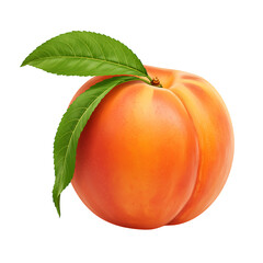 Fresh ripe peach with green leaves against a black background isolated
