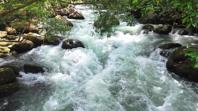 Superb view of summer: Slow motion of the fantastic Moot valley in Phong Nha National Park, Vietnam with the sound of a clear stream flowing through the peaceful tropical jungle