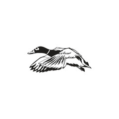 black and white Duck Illustration Monochrome