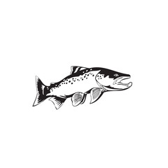 Leaping Fish vector Illustration Monochrome