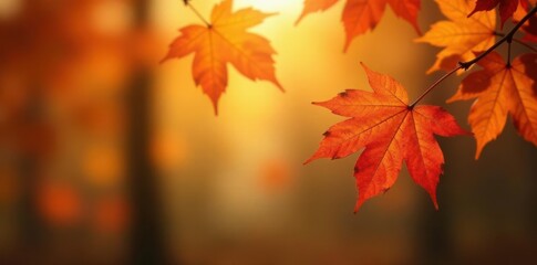 Fototapeta premium Elegant autumn leaves, warm tones, blurred background, promotion, blurred