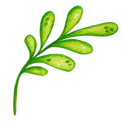 Green branch with leaves, folk, ornamental element. Hand-drawn watercolor illustration, cartoon. Flower, plant, decoration, holiday, children, Easter, isolated