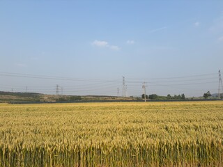 Rural scenery in northern China