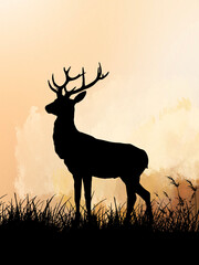 Deer Silhouette at Sunset in Grassy Field