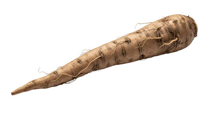 Fresh organic parsnip root, a nutritious and versatile vegetable often used in culinary dishes for its sweet and earthy flavor, isolated on transparent background