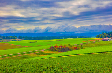 Fototapeta premium 黄昏の原野