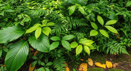 A lush green forest floor with ferns and leaves, featuring vibrant green and yellow hues.