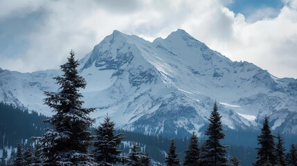 Snowy Mountain Peaks and Evergreen Trees against a Cloudy Sky in Winter
