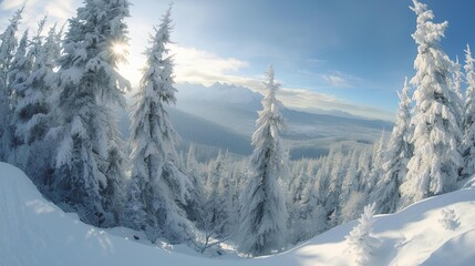Winter Wonderland Snow-covered Trees in a Serene Landscape of Winter in the Mountains