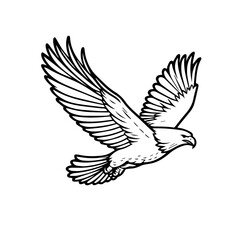 Obraz premium eagle in flight