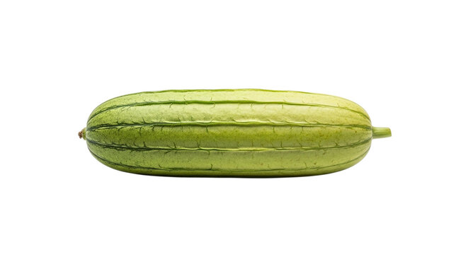 Fresh green ridge gourd, a popular asian vegetable, known for its unique texture and mild flavor, often used in various culinary dishes, isolated on transparent background