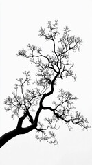 Obraz premium A dark tree branch silhouette stretching across a soft, blurred background, creating a minimal, moody, and nature-inspired visual with elegant organic lines.