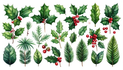 Diverse Collection of Botanical Leaves and Red Berries Watercolor Illustrations.