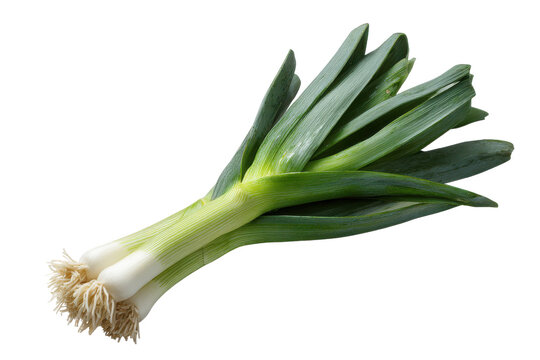 Two fresh green leeks with white bulbs and roots on black background vegetable food