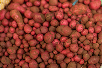 Fresh chuguas stacked in close-up for culinary use
