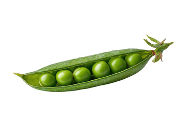 Single green pea pod with six round peas inside on black background vegetable