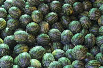 Large pile of fresh green watermelon at local market. vibrant background of natural, healthy fruit ready for sale, showcasing abundance and summer harvest