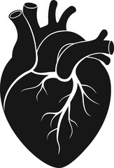  Human heart vector icon stock illustration silhouette  vector black , white background 