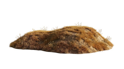 Brown mound of earth covered in dry grass and small plants.