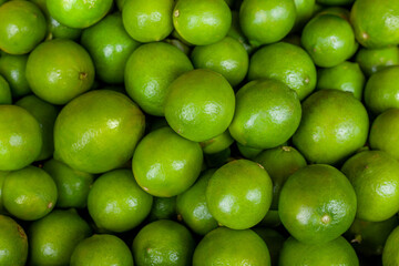 Green lemons in full horizontal frame