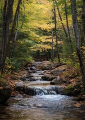 Fototapeta premium Autumnal forest creek cascading over rocks
