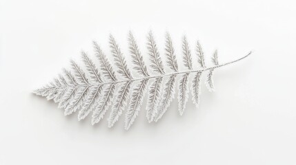Obraz premium A Delicate Frosted Fern Leaf Isolated on White Background