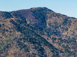 鷹ノ巣山から望む雲取山