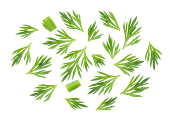 Fresh carrot leaves create a vibrant, natural pattern perfect for healthy food branding or organic product designs, adding a touch of spring freshness