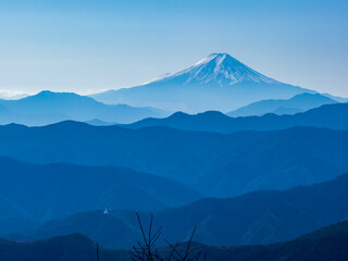 鷹ノ巣山から望む富士山