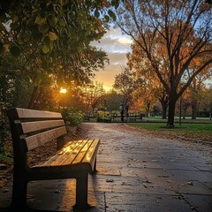 Golden hour park bench bathed in autumn sunlight