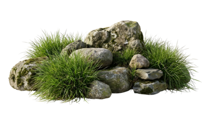 Rocks and grass composition natural elements outdoor scene stone arrangement.