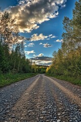 Gravel road winds through a lush forest under a vibrant sky