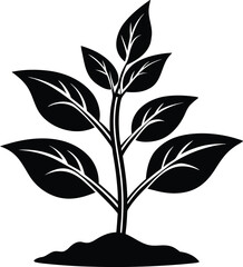 Growing plant silhouette vector with leaves in soil