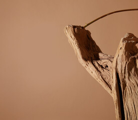 a natural object placed in a sunny space