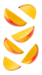 Falling Mango isolated on transparent background