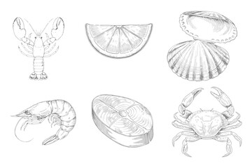 Hand drawn sea food set Collection illustration. Lobster, shrimp, crab and fish. Sketch in vintage style for sea food restaurant menu design. Eps 10