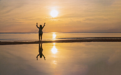 Silhouette Female Traveler Sunset Beach Scenic View