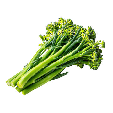 Fresh bunch of green broccolini with vibrant florets, perfect for healthy meals and recipes on white isolated background.