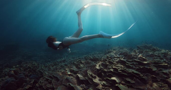 Woman swims underwater on coral reef with sun rays in Raja Ampat, freediving in tropical sea