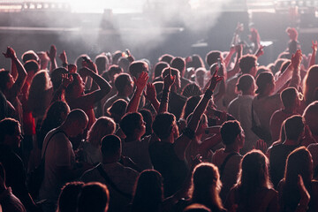 crowd of people dancing at concert	