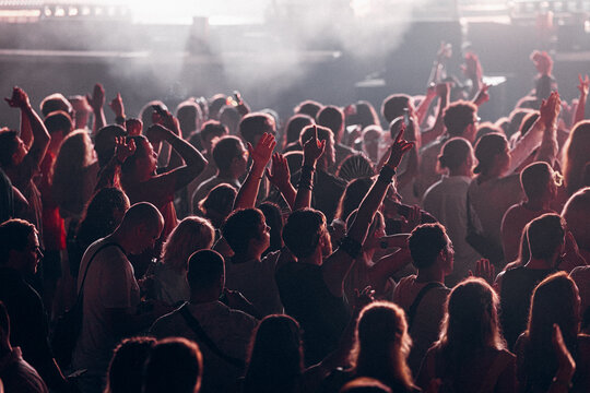 crowd of people dancing at concert	