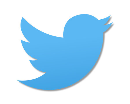 Blue twitter bird logo icon