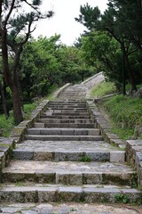 Stone steps ascend through lush greenery