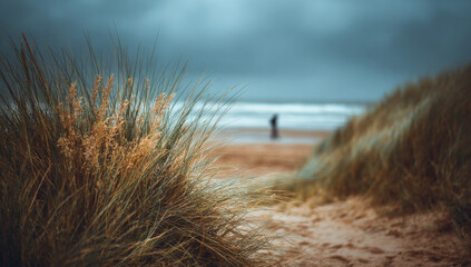 Solitary figure walks along a sandy beach under a cloudy sky.