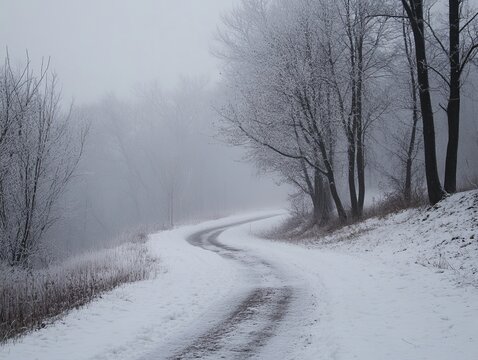 Winding snowy path through frosted trees in a misty landscape