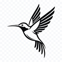 Obraz premium Black silhouette of a hummingbird in flight with wings spread and tail feathers fanned black and white