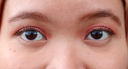 Fototapeta premium Beautiful Asian woman eyes with simple makeup. attractive pretty woman lady with good vision sight eyesight with long eyelashes natural makeup, ophthalmology