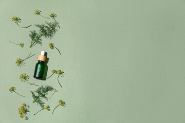 Composition with bottle of dill cosmetic product on green background