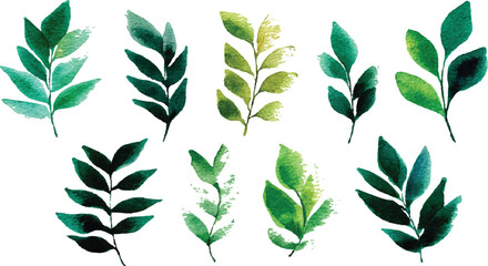 Fototapeta premium Green leaves big vector collection - Set Set of tropical green leaves isolated on white background.