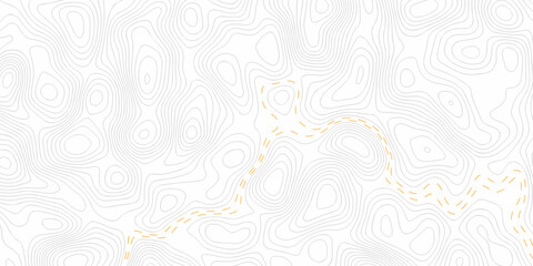 seamless pattern and topography map and counter map. abstract sea map area space geometrics line technology topo landscape grid map texture.	